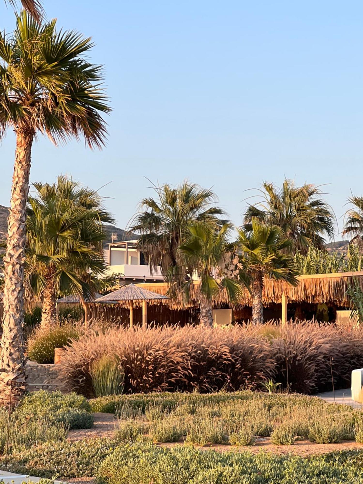 Seesoo Paros Beachfront Resort (Adults Only) Pounda Exterior photo