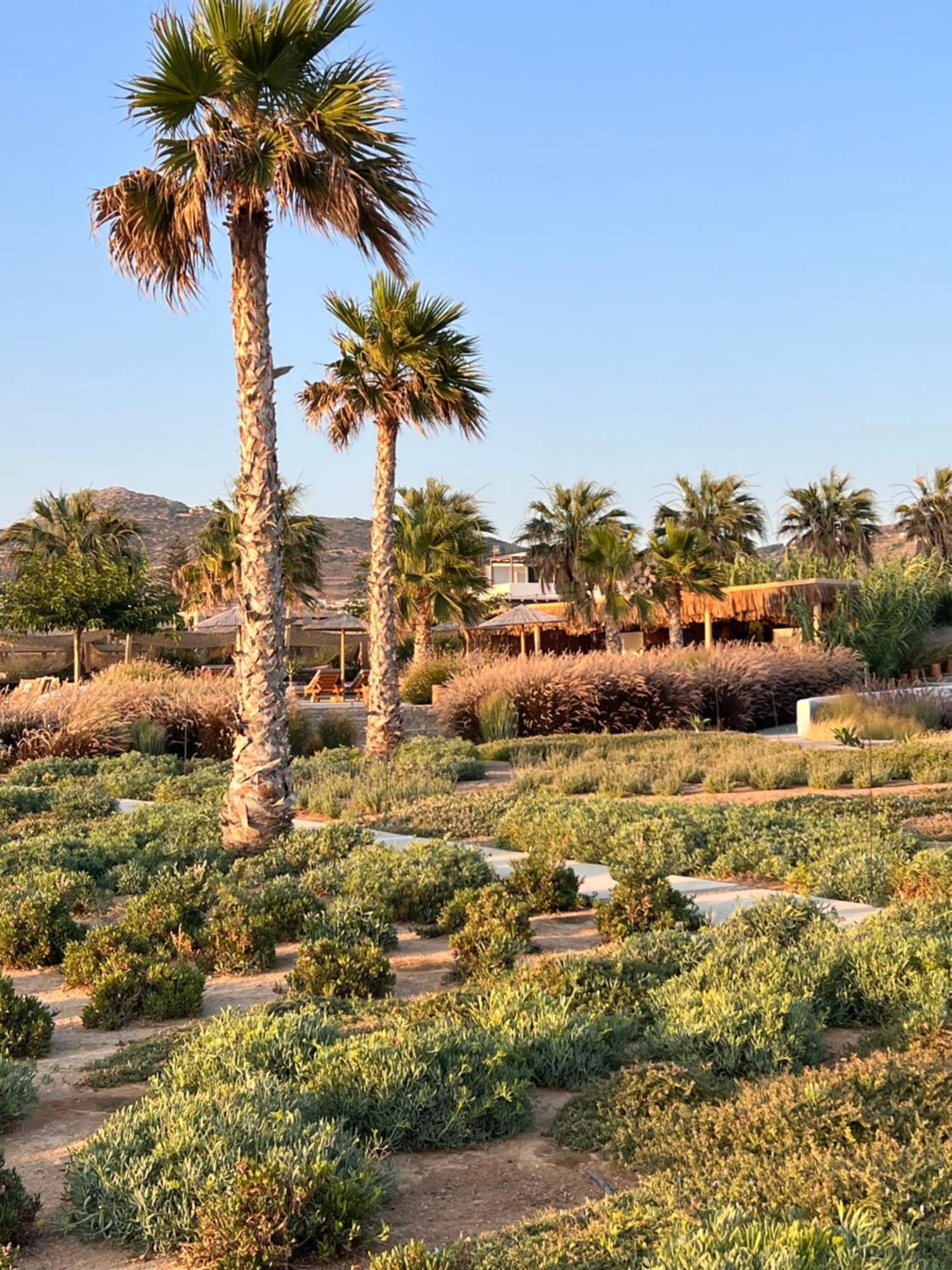 Seesoo Paros Beachfront Resort (Adults Only) Pounda Exterior photo